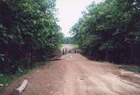 thumbs/0202_Action2006.jpg