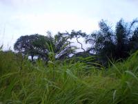 thumbs/0164_Action2009.jpg.jpg