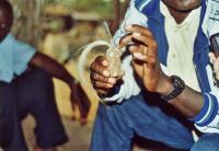 thumbs/008_Marche.jpg
