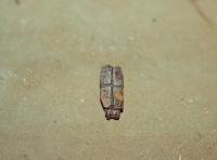 thumbs/016_Marche.jpg